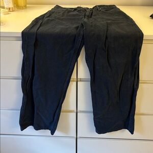 Zara Dark Wash Denim Pants